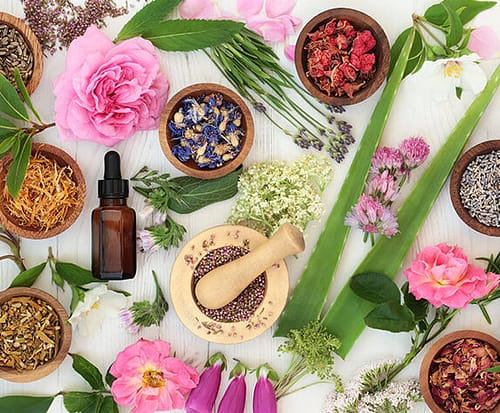 Perfect-Bach-Flower BACH FLOWER TREATMENT