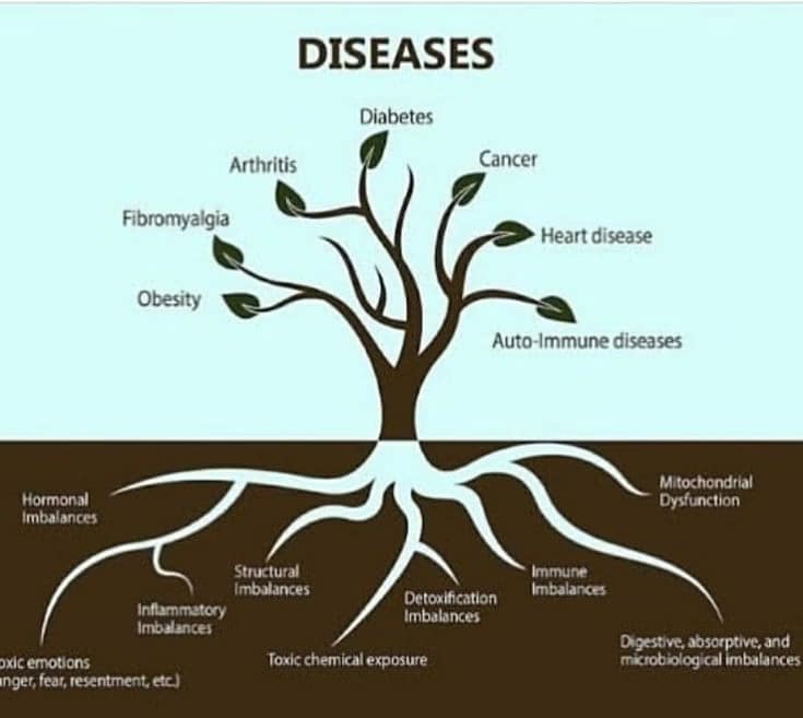 You are currently viewing What is the cause of all Disease?