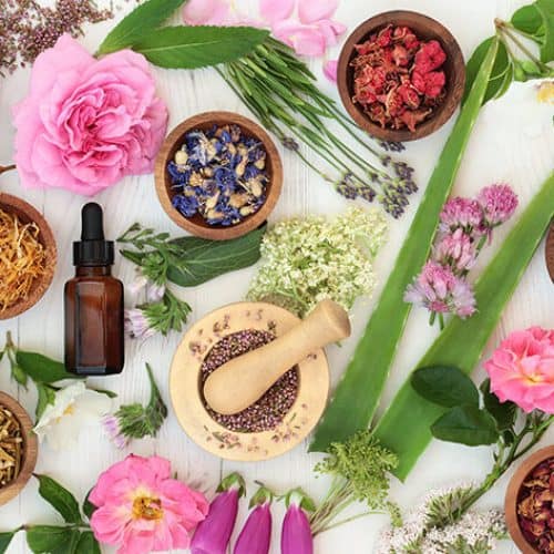 Perfect-Bach-Flower BACH FLOWER TREATMENT